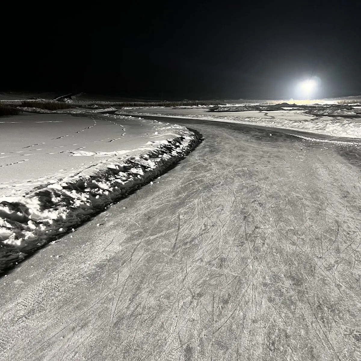 The skate-scratched ice of the skating loop at night, curving between snowbanks under a floodlight. — West River's Edge (WRE) Skating Loop