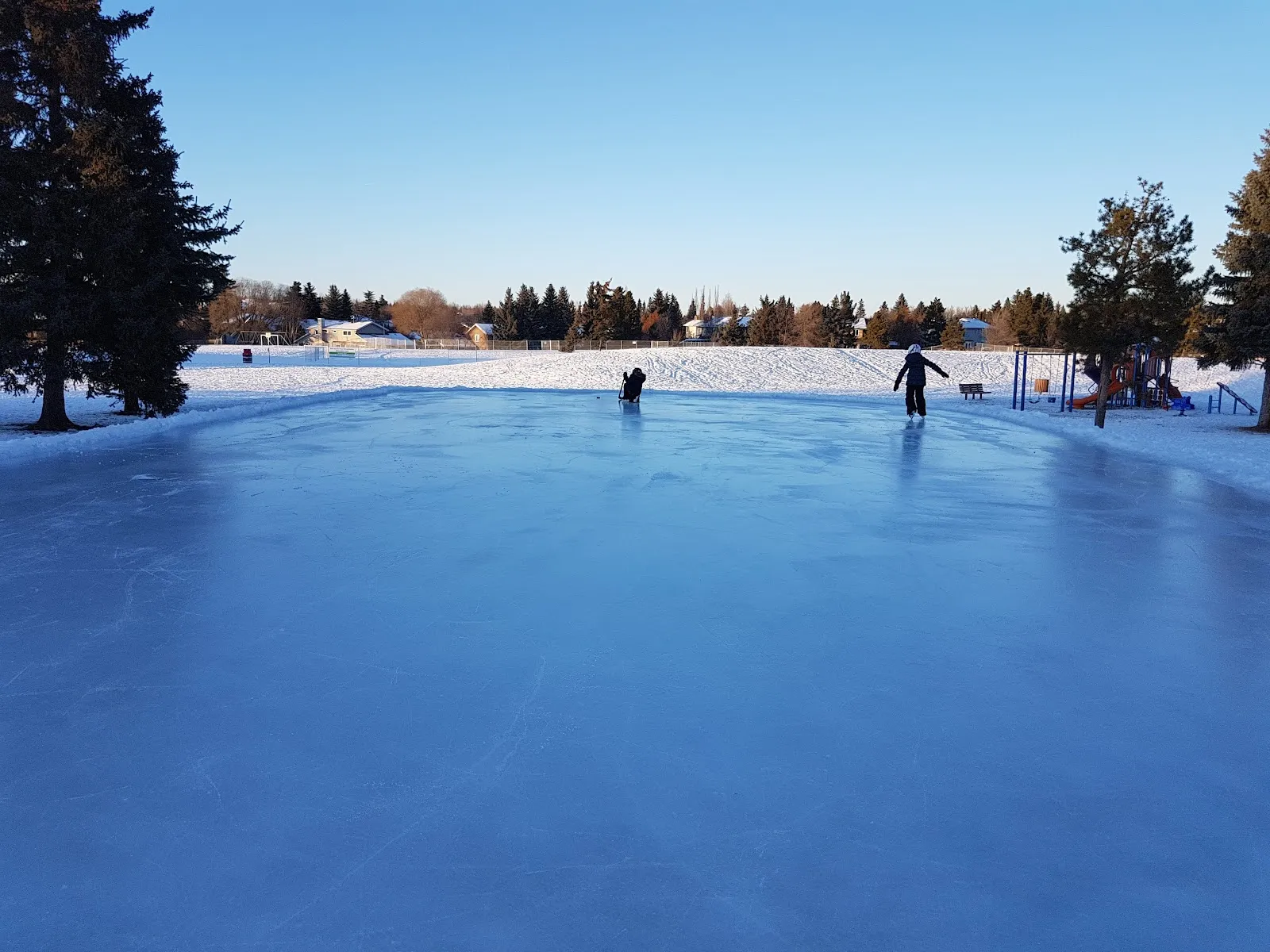 The ice at Willoughby Park Outdoor Rink, in a photo from its Google Maps listing. — Willoughby Park Outdoor Rink