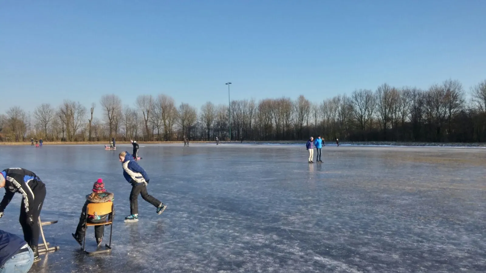 Schaatsers verspreid over het brede natuurijs van de Winsumer baan onder een heldere blauwe lucht, met lichtmasten en een rij kale bomen aan de verre rand. – Winsumer IJsbaan
