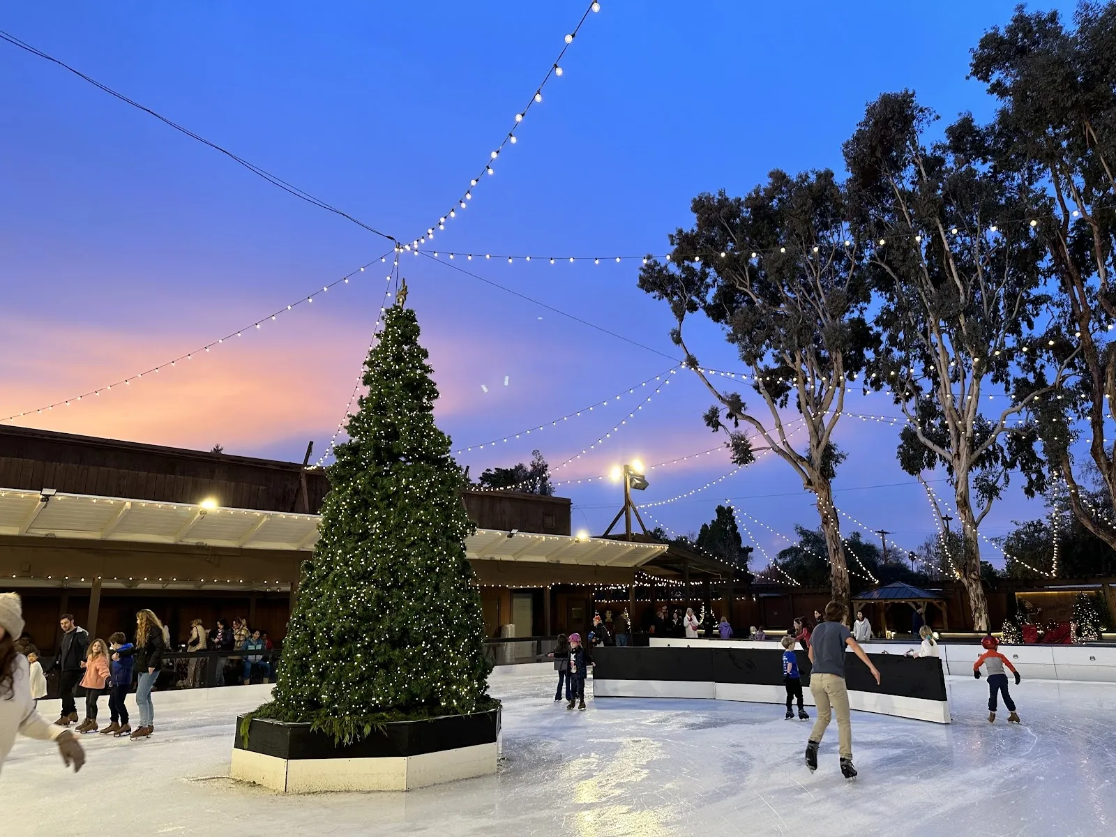 La pista al aire libre de Winter Lodge al atardecer, con patinadores bajo tiras de luces y, al fondo, un árbol de Navidad iluminado y el techo de madera de la cabaña. — Winter Lodge